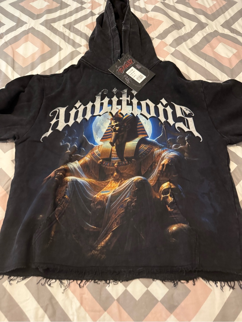 Stray Men’s Ambitious Graphic Pharaoh Fleece Hoodie y